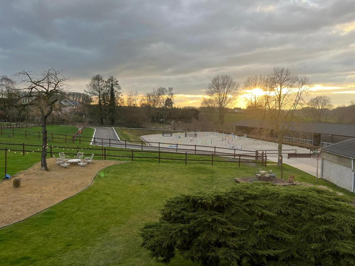 B&B At Haras Petit-Hallet Hannut Exterior photo